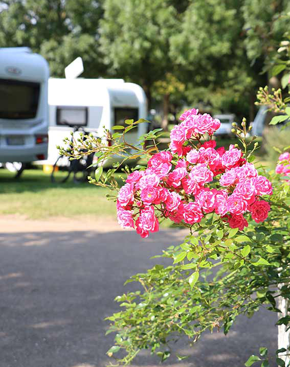 Unser Platz - Campingplatz Stadt Kln